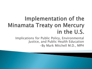 Implementation of the Minamata Treaty on Mercury in the U.S.