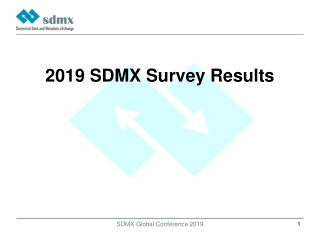 2019 SDMX Survey Results