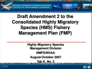 Draft Amendment 2 to the Consolidated Highly Migratory Species (HMS) Fishery Management Plan (FMP)