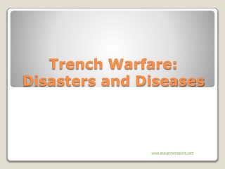 Trench Warfare: Disasters and Diseases