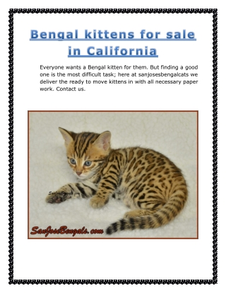 Bengal kittens for sale in california
