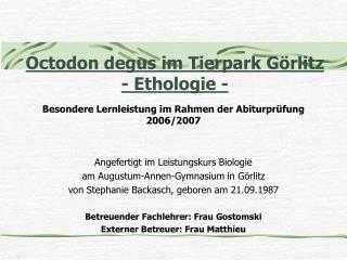 Octodon degus im Tierpark Görlitz - Ethologie -