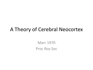 A Theory of Cerebral Neocortex