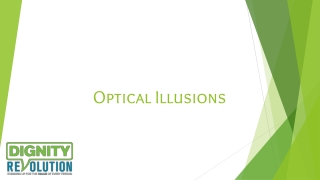 Optical Illusions