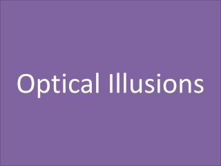 Optical Illusions