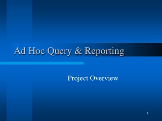 Ad Hoc Query &amp; Reporting