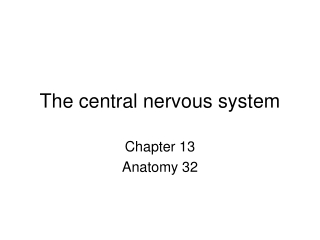 The central nervous system