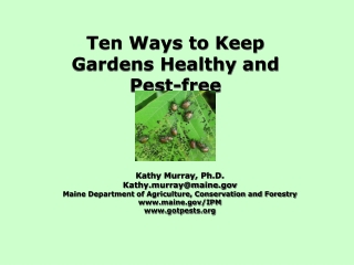 Ten Ways to Keep Gardens Healthy and Pest-free