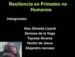 Resiliencia en Primates no Humanos