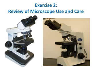 Exercise 2: Review of Microscope Use and Care