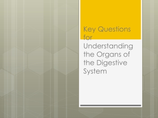 Key Questions for Understanding the Organs of the Digestive System