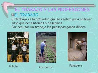 EL TRABAJO Y LAS PROFESIONES