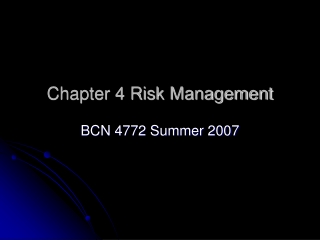 Chapter 4 Risk Management