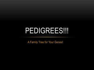 Pedigrees!!!