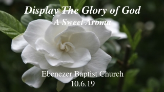 Display The Glory of God A Sweet Aroma