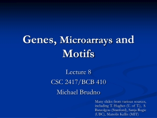 Genes, Microarrays and Motifs
