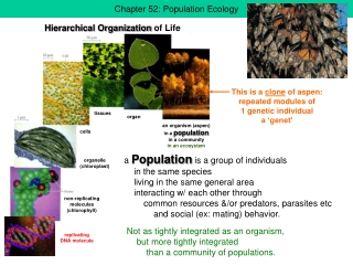 Chapter 52: Population Ecology