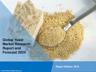 Yeast Market PDF: Upcoming Trends, Demand, Regional Analysis and Forecast 2024