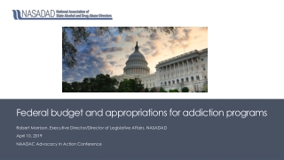 Federal budget and appropriations for addiction programs