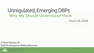 Unregulated, Emerging DBPs