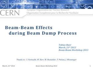 Beam-Beam Effects during Beam Dump Process