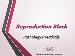 Reproduction Block Pathology Practicals