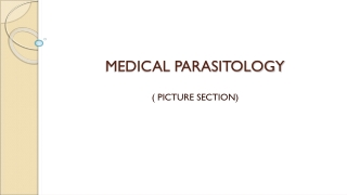 MEDICAL PARASITOLOGY