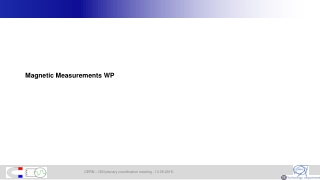 Magnetic Measurements WP