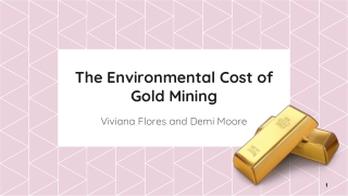 The Environmental Cost of Gold Mining