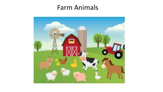 Farm Animals