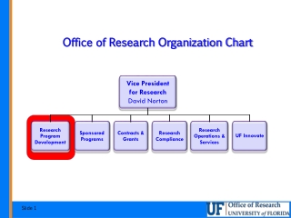 Office of Research Organization Chart