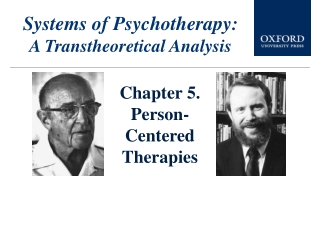 Systems of Psychotherapy: A Transtheoretical Analysis