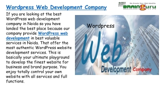 Wordpress Web Development Company