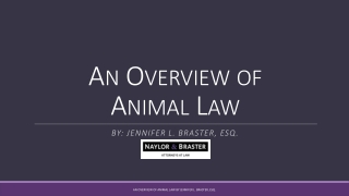 An Overview of Animal Law