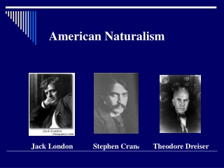 American Naturalism