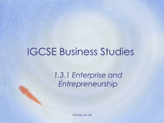 IGCSE Business Studies