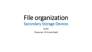 File organization Secondary Storage Devices