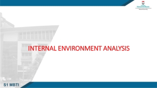 INTERNAL ENVIRONMENT ANALYSIS