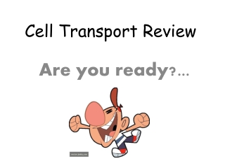 Cell Transport Review