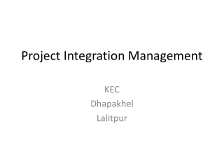 Project Integration Management