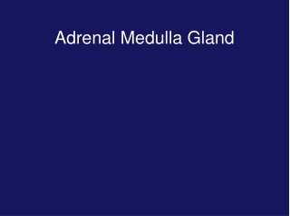 Adrenal Medulla Gland