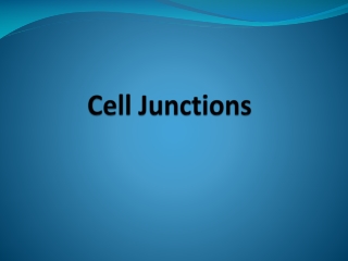 Cell Junctions