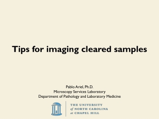 Tips for imaging cleared samples