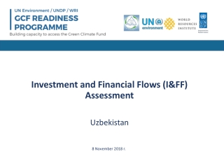 Investment and Financial Flows (I&amp;FF) Assessment