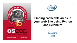 Finding cacheable areas in your Web Site using Python and Selenium