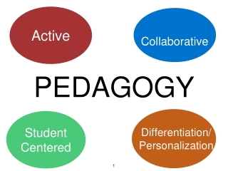 PEDAGOGY