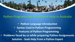 Python Programming Assignment Help in Australia