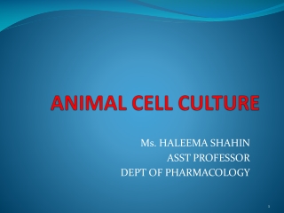 ANIMAL CELL CULTURE