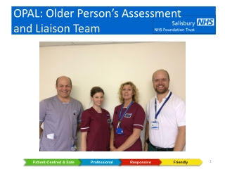 OPAL: Older Person’s Assessment and Liaison Team