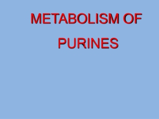 METABOLISM OF PURINES